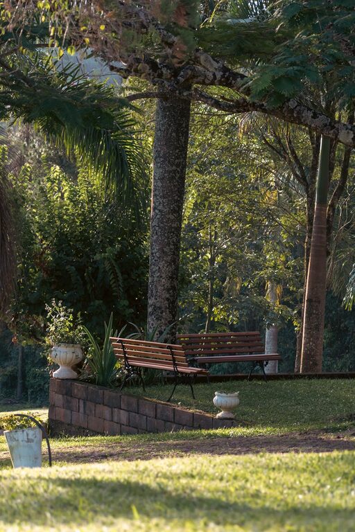 Tips for Creating a Relaxing Outdoor Garden Space at Home