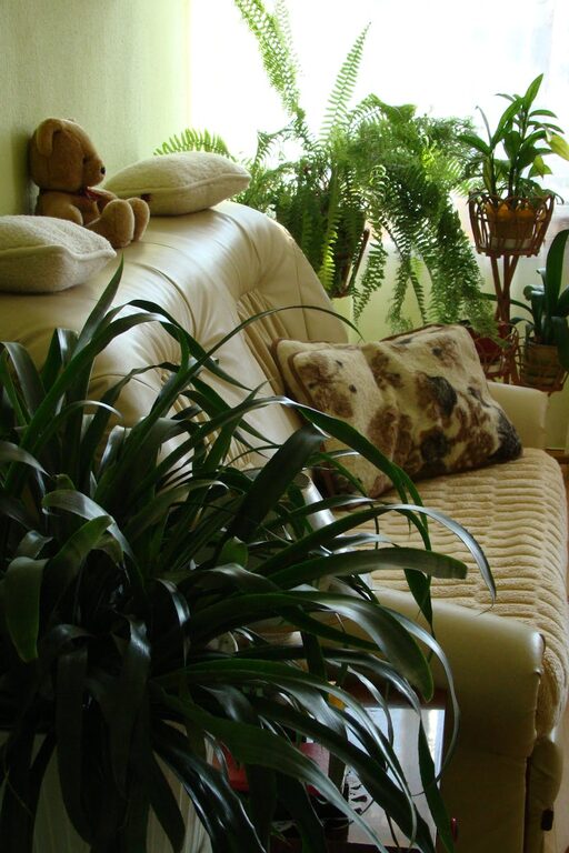 Tips for Creating a Cosy and Inviting Living Room Space